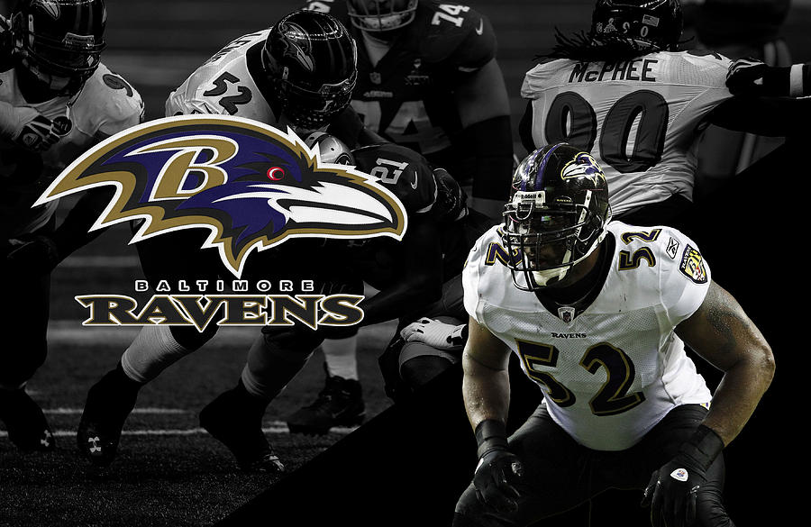 Ray Lewis Ravens Photograph by Joe Hamilton - Pixels