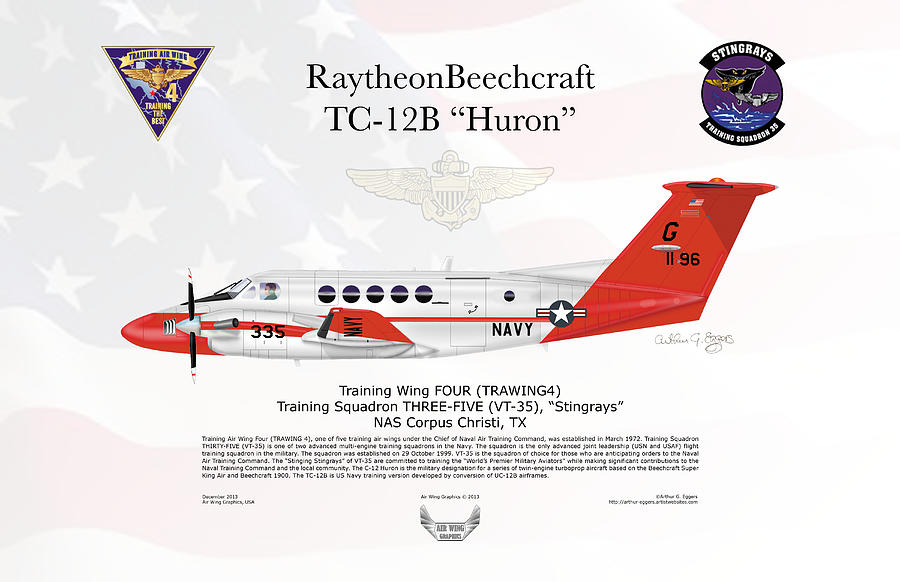 Raytheon Beechcraft TC-12B Huron FLAG BACKGROUND Digital Art by Arthur Eggers