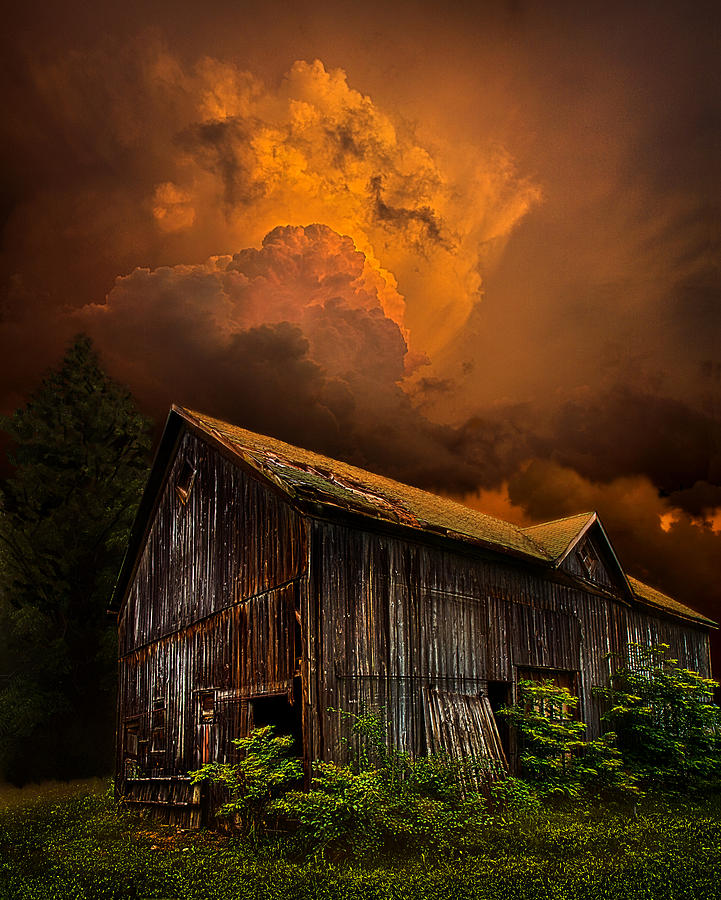 Recluse #1 Photograph by Phil Koch