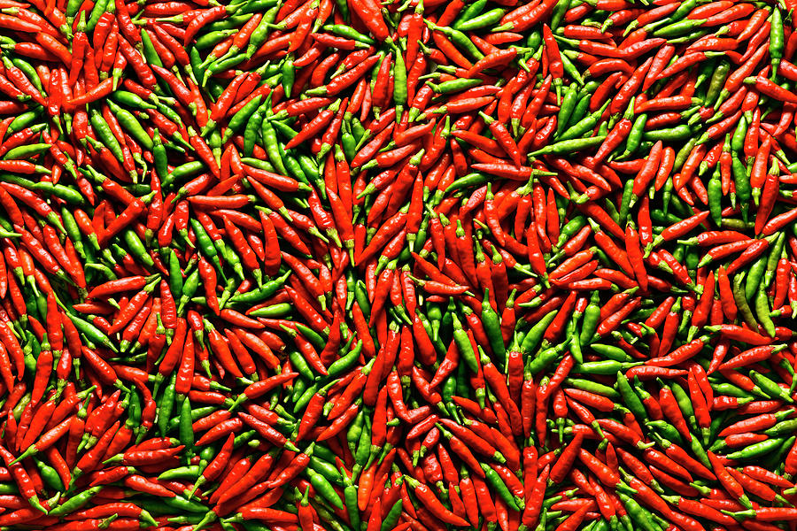 Red And Green Chilli Peppers #1 Photograph by Ktsdesign/science Photo Library