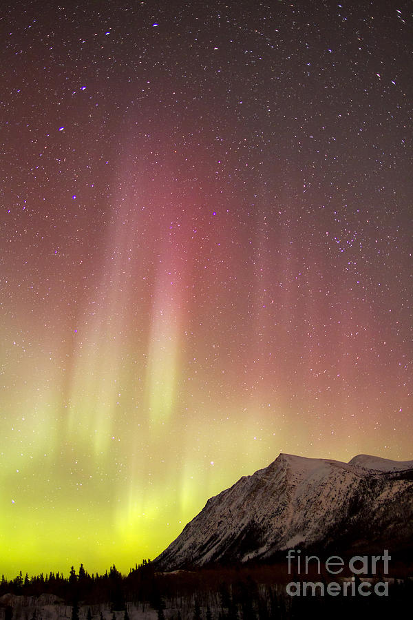 Red Aurora Borealis Over Carcross #1 Photograph by Joseph Bradley