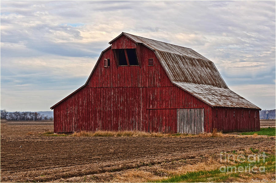 Red barn #1 Photograph by Debbie Portwood