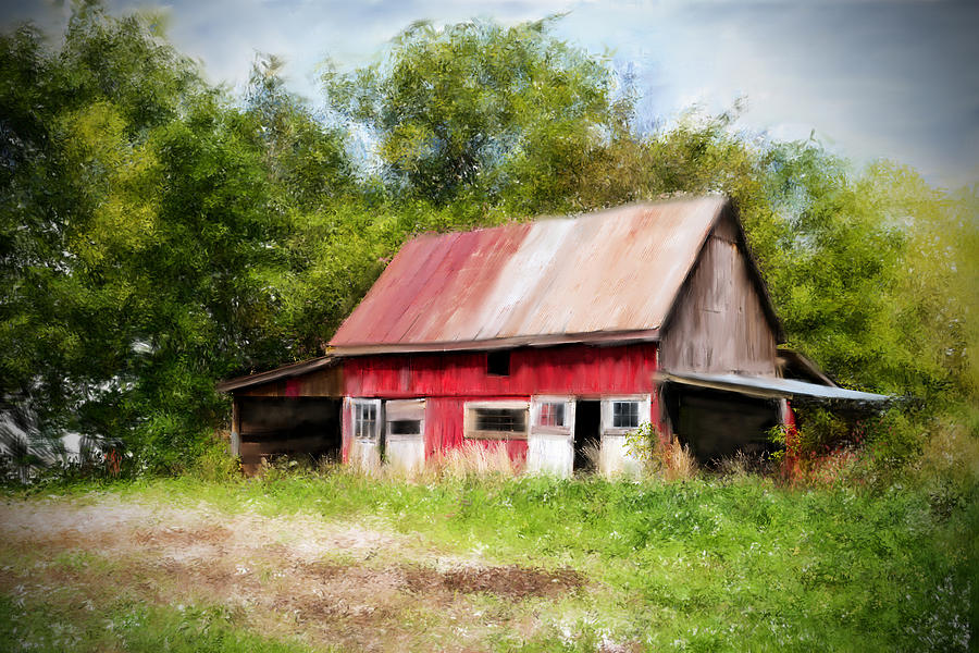 Red Barn #1 Photograph by Mary Timman
