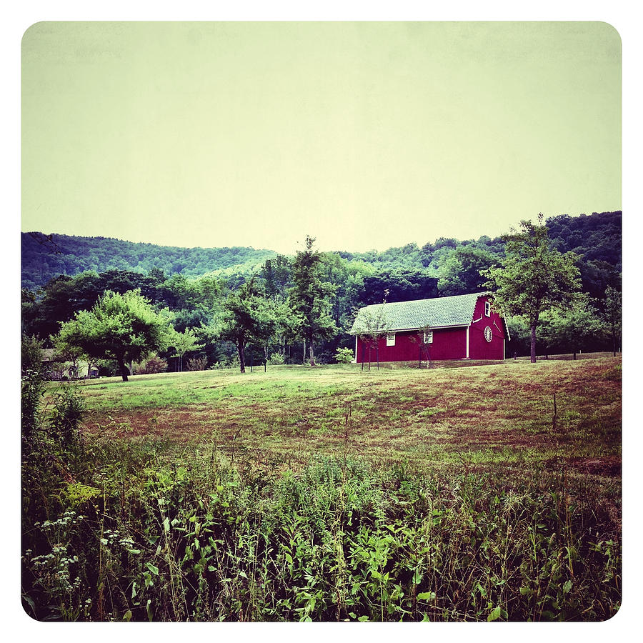Red Barn #1 Photograph by Natasha Marco