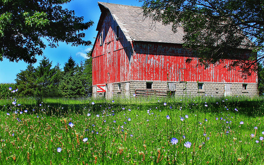 Red Barn #1 Photograph by Virginia Folkman