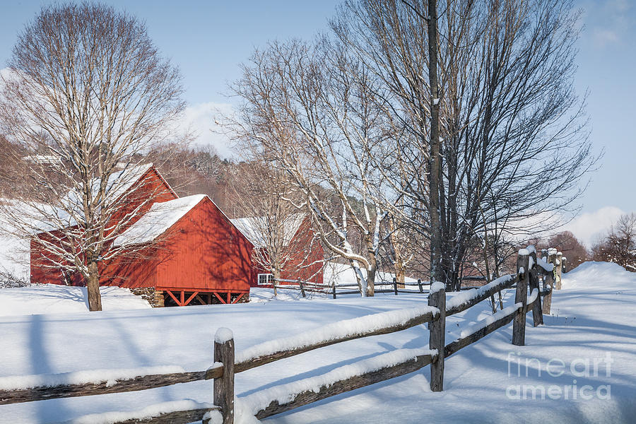 Red Barns #1 Photograph by Susan Cole Kelly