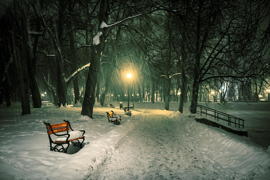 Christmas Photograph - Red bench in the park #1 by Jaroslaw Grudzinski