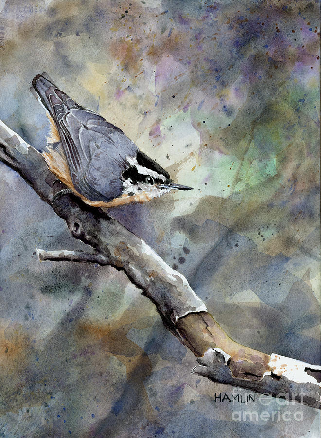 Red-breasted Nuthatch #1 Painting by Steve Hamlin