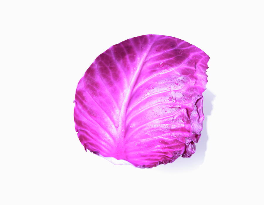 Red Cabbage #1 Photograph by Sot