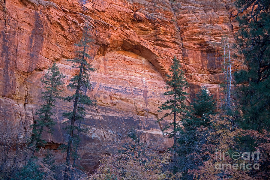 Red Cliff Arch #1 Photograph by Fred Stearns