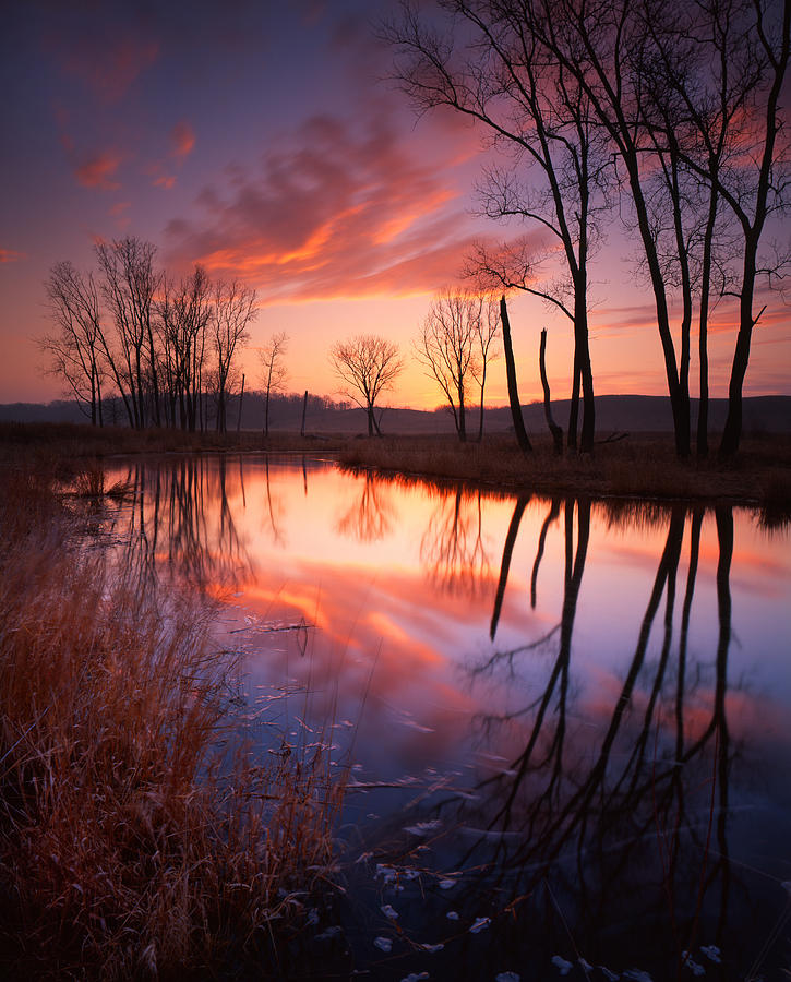 Red Dawn #1 Photograph by Ray Mathis