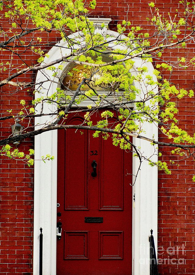 Red Door 32 #1 Photograph by Colleen Kammerer
