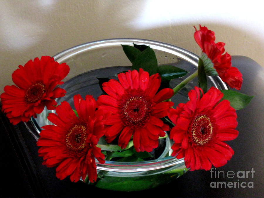 Red Flowers. Special Photograph by Oksana Semenchenko