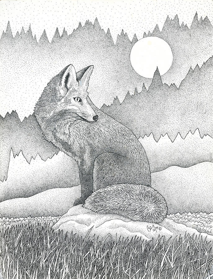 Red Fox #1 Drawing by Brian Gilna