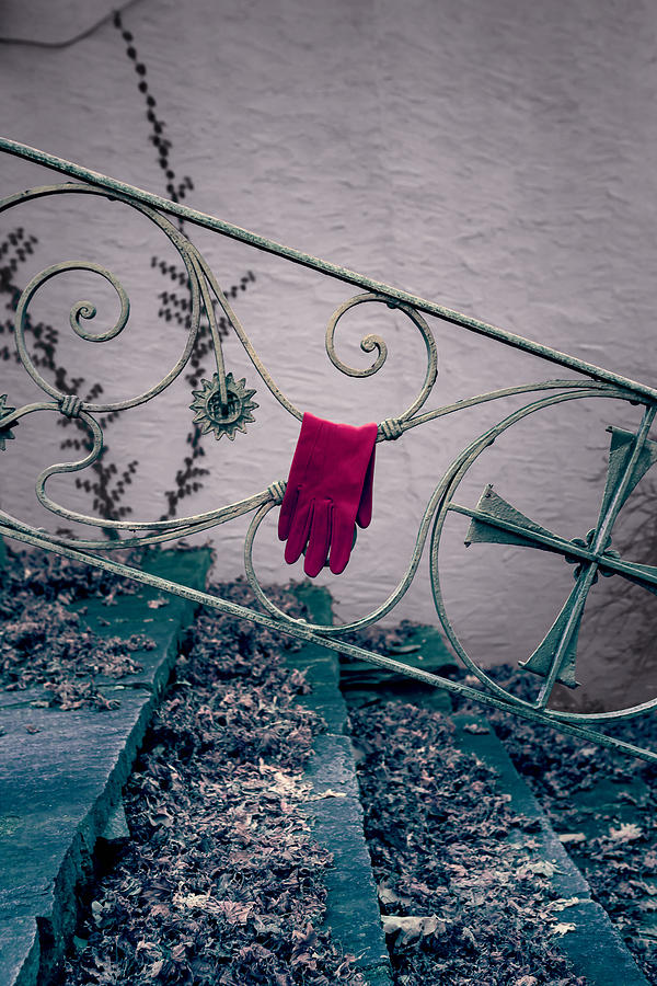 Fall Photograph - Red Glove #1 by Joana Kruse