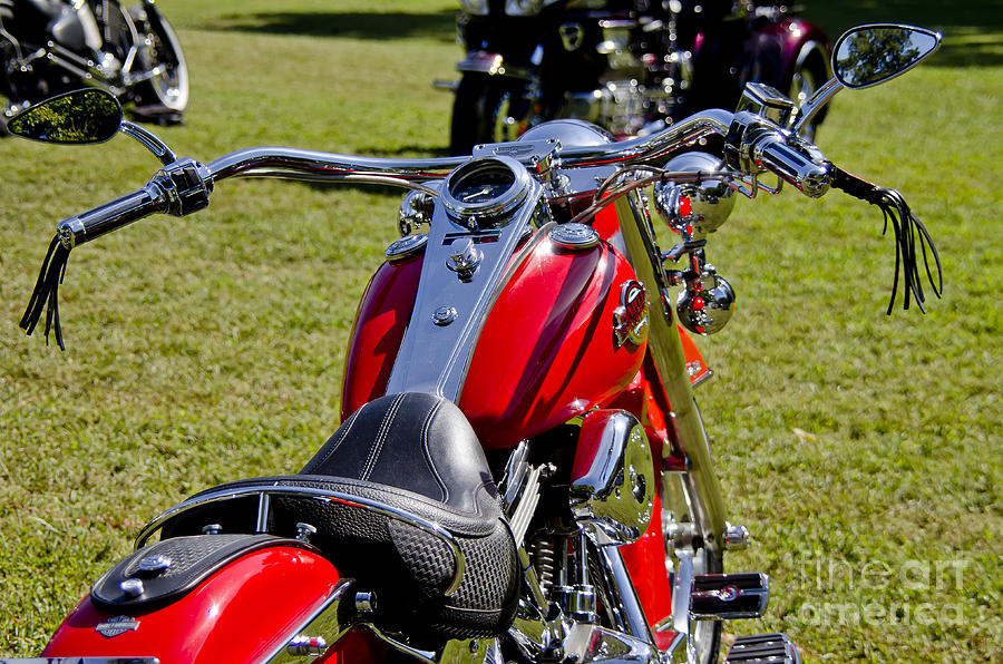 Red Harley #1 Photograph by Wilma  Birdwell