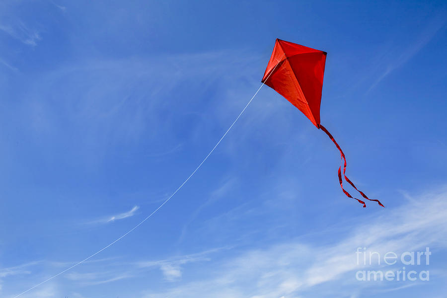 Red Kite in the Sky #2 Photograph by Diane Diederich