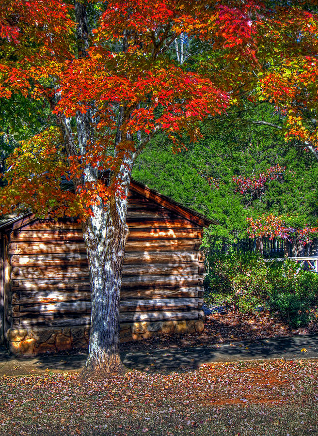 Red leaves over a log cabin Photograph by Andy Lawless