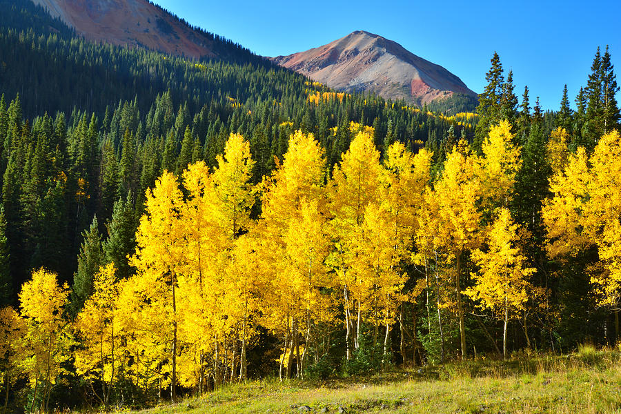 Red Mountain Pass Fall Colors #4 Photograph by Ray Mathis