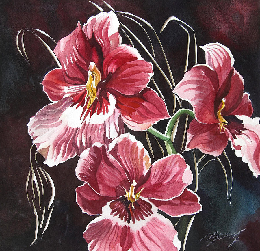 Red Oncidium Orchid #3 Painting by Alfred Ng