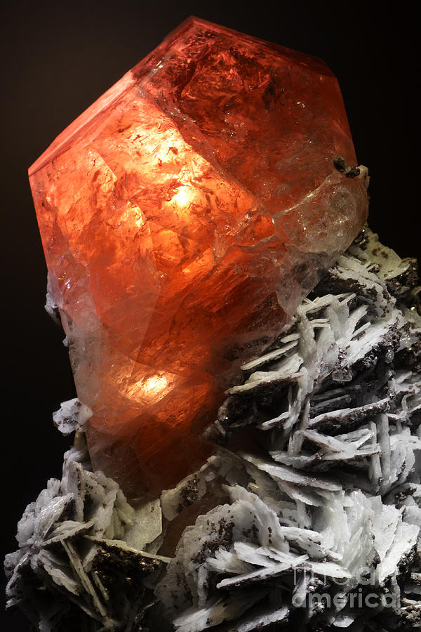 Red Rhodochrosite Crystal Macro #2 Photograph by Shawn OBrien