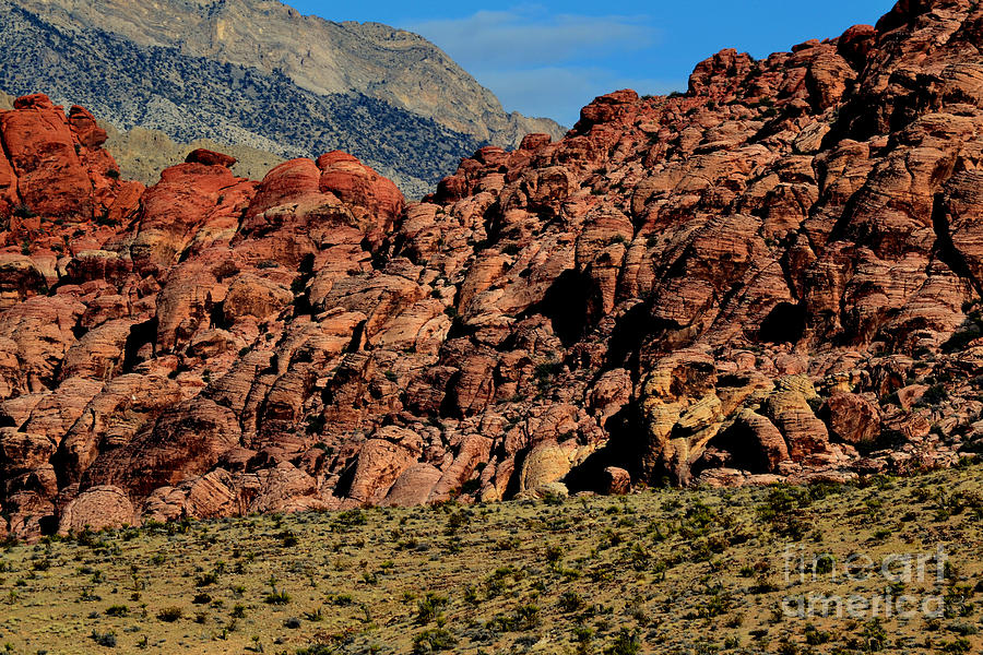 Red Rock Canyon 8 Photograph by Diane montana Jansson