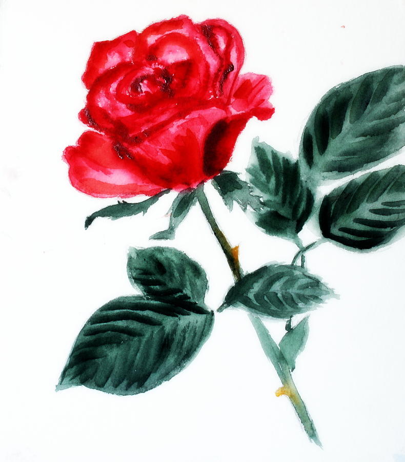 Red Rose #1 Painting by Donna Walsh