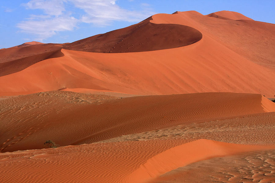 Desert Curves Photograph by Aidan Moran