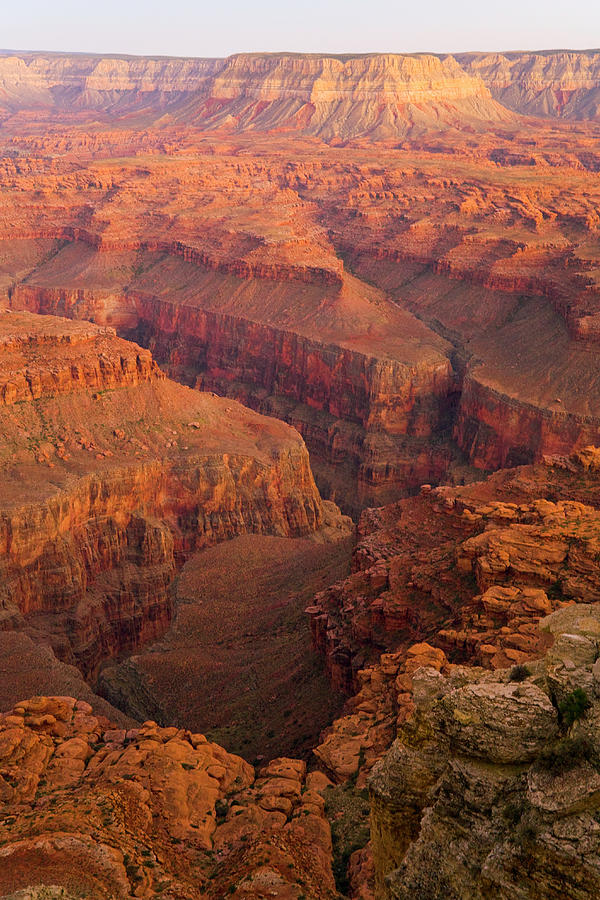 Grand Canyon from Kanab Point Photograph by Yva Momatiuk John Eastcott