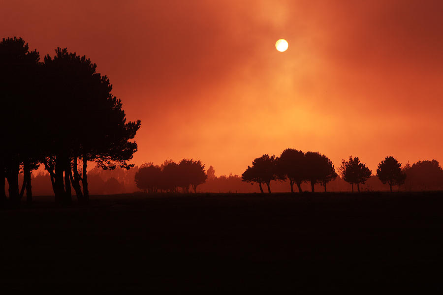 Sunset Photograph - Red Mist by Aidan Moran