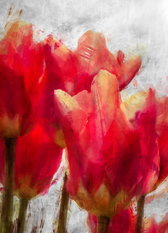 Red Tulips #1 Photograph by Celso Bressan