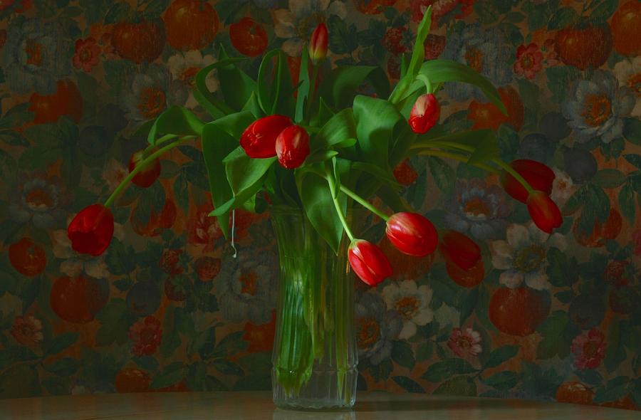 Red Tulips #1 Photograph by Jim Vance
