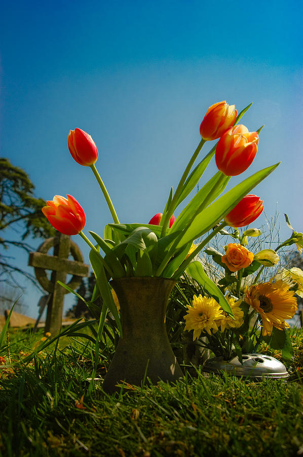 Red Tulips #1 Photograph by Mark Llewellyn