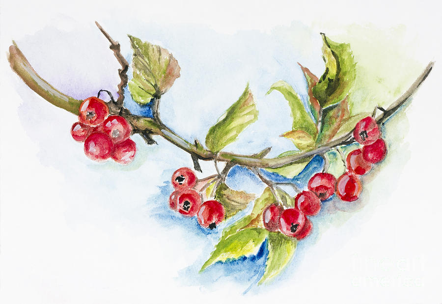 Nature Painting - Red wild berries #1 by Irina Gromovaja