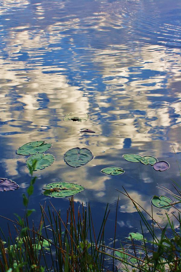 Reflected Clouds Photograph by Chuck Hicks - Fine Art America