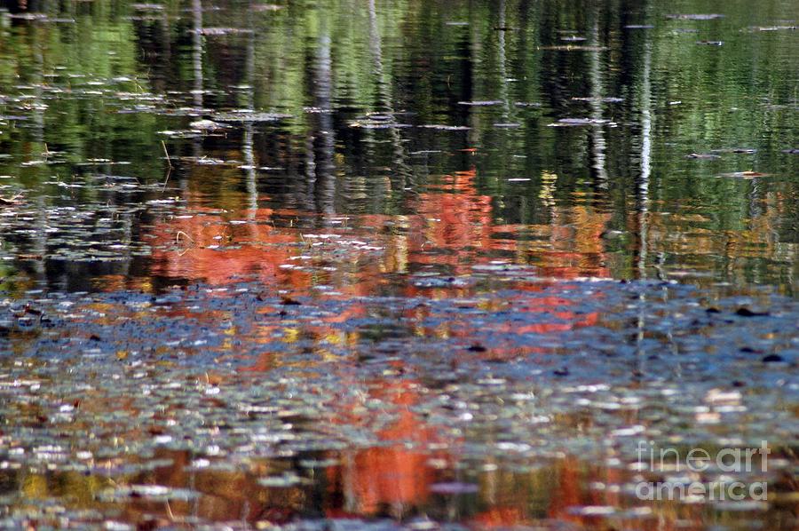 Fall Photograph - Reflecting Fall #1 by Joseph Yarbrough