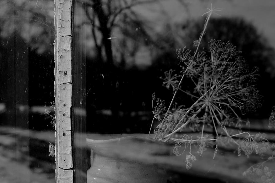 Reflection 2 Photograph by Jeff Heimlich
