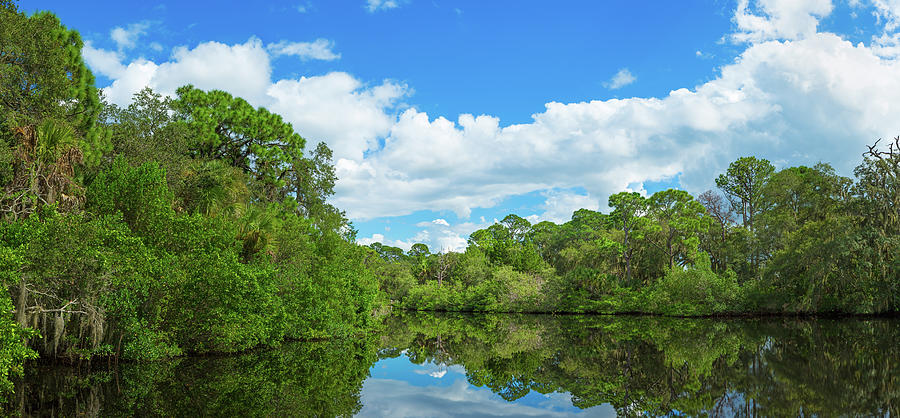 Reflection Of Trees And Clouds In South Photograph by Panoramic Images ...