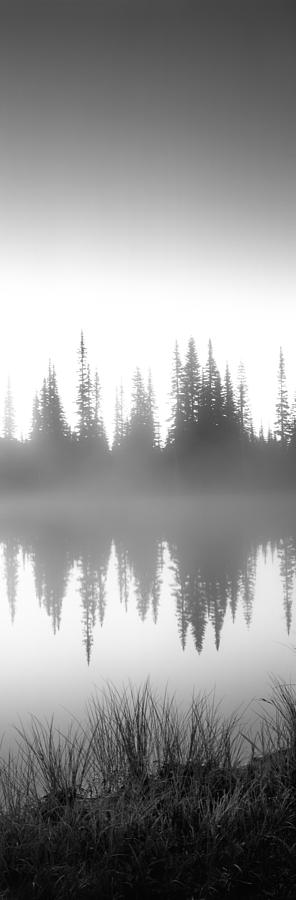 Black And White Photograph - Reflection Of Trees In A Lake, Mt #1 by Panoramic Images