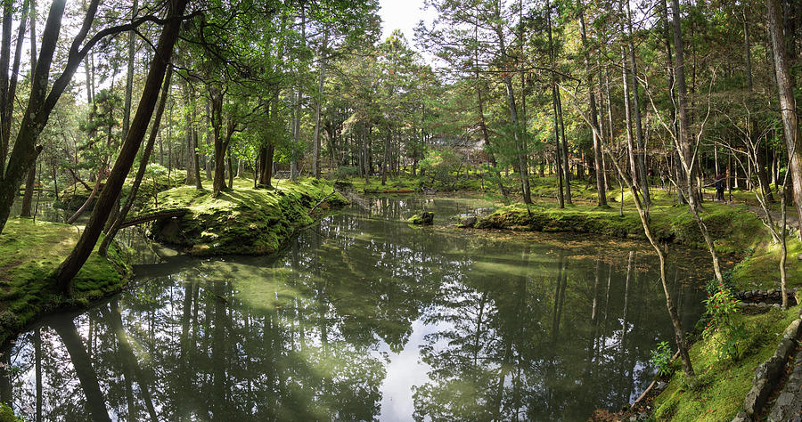 Reflection Of Trees In Water, Saihoji #1 Photograph by Panoramic Images