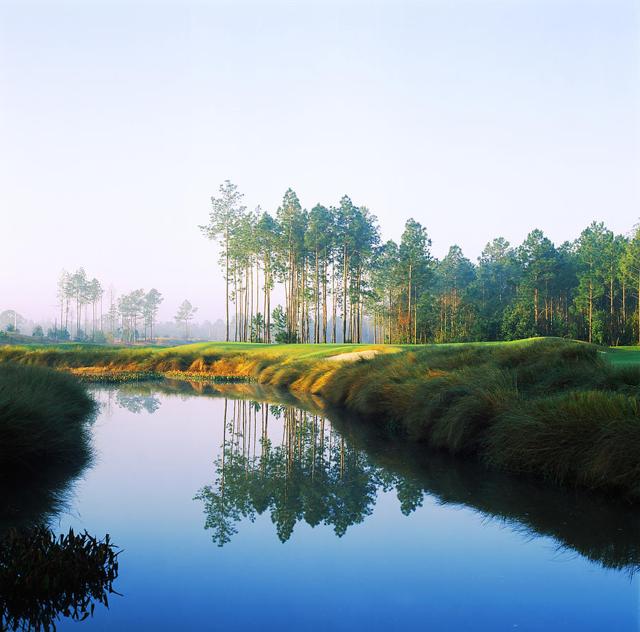 Reflection Of Trees On Water In A Golf #1 Photograph by Panoramic Images