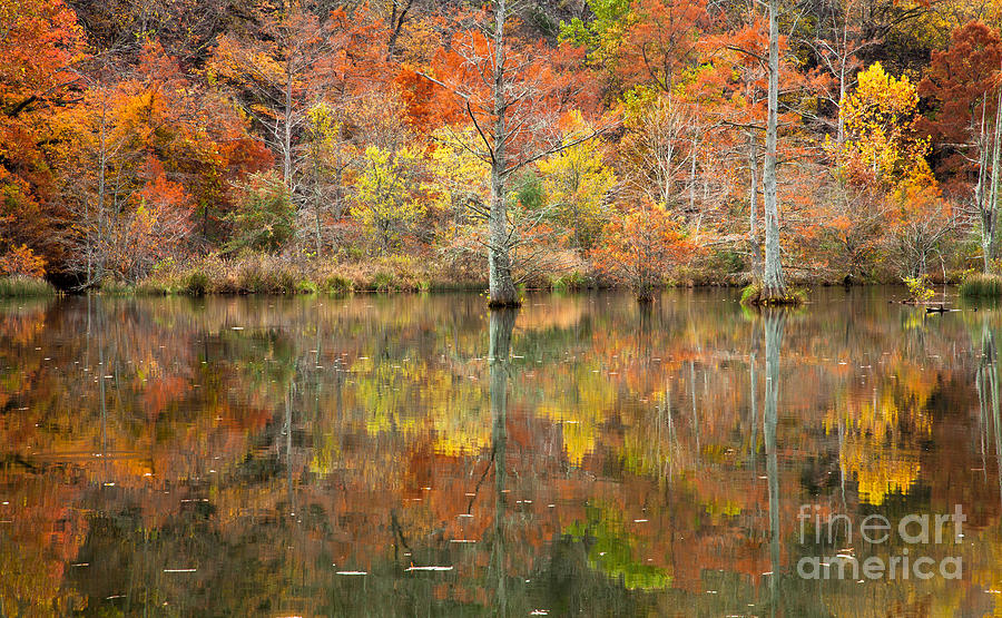Reflections in Autumn #1 Photograph by Iris Greenwell