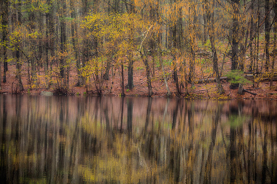 Spring Photograph - Reflections Of Life #2 by Karol Livote