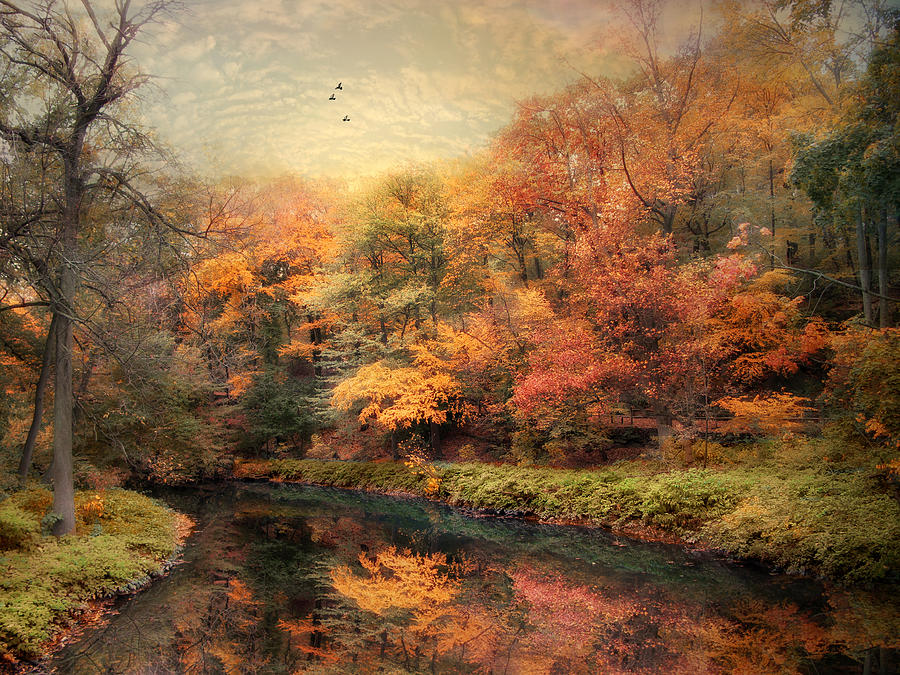 Reflections in October Photograph by Jessica Jenney