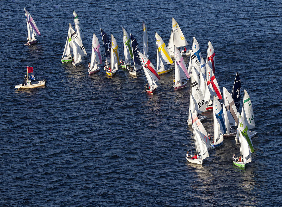 Regatta In The Charles River, Boston Photograph by Dave Cleaveland