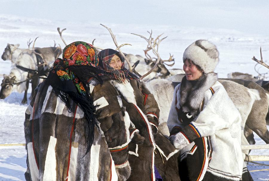Reindeer herders, Russia Photograph by Science Photo Library