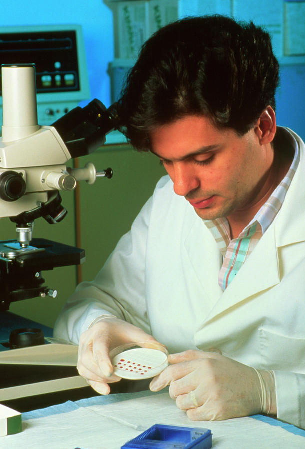 Researcher Preparing A Genetic Probe #1 Photograph by Matt Meadows/science Photo Library
