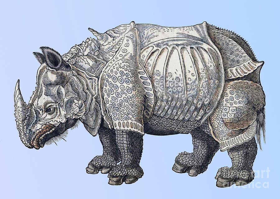Rhinoceros Historiae Animalium 16th #4 Photograph by Science Source