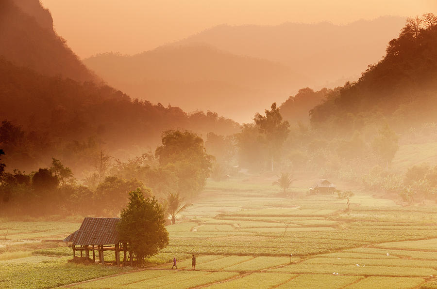 Rice Paddy Landscape #1 Photograph by John Elk