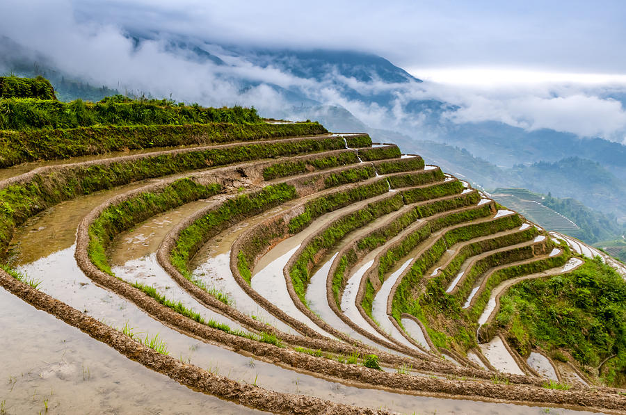 Rice Terraces #1 Photograph by Luxizeng